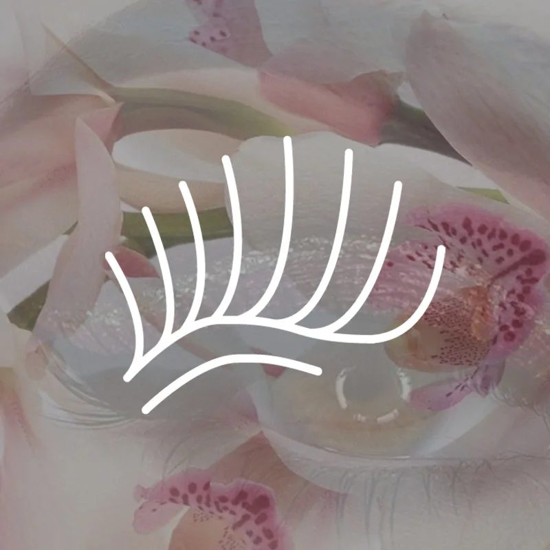 Korean Lash Lift at Ashley York Aesthetics, Peoria AZ